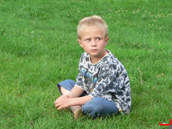bild-137