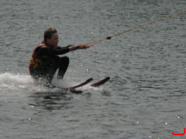 bild-230