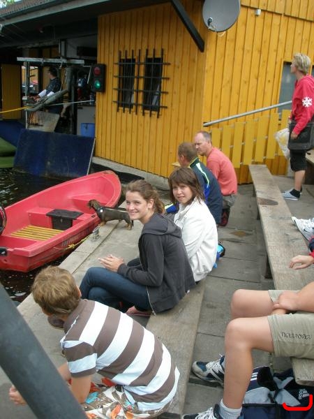 bild-244