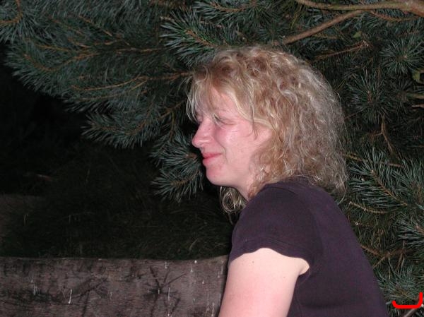 bild-308