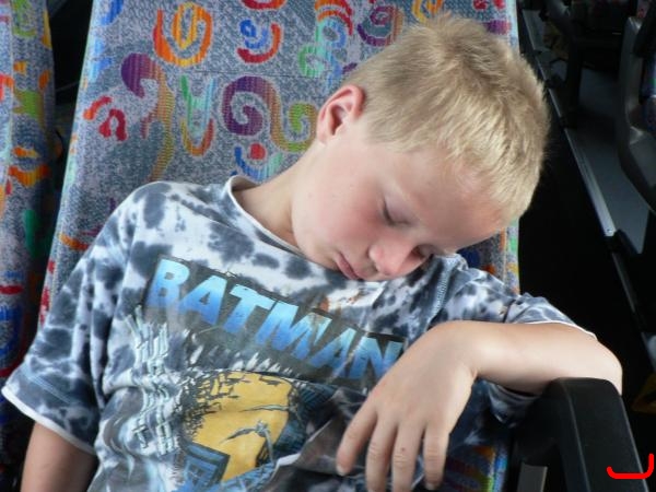 bild-319