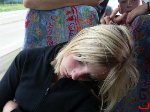 bild-321
