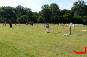 DFB Mbbil 2010