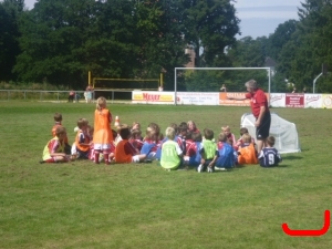 DFB Mbbil 2010
