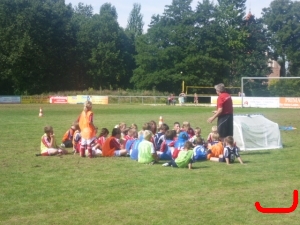 DFB Mbbil 2010