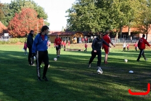 DFB Abzeichen 2010