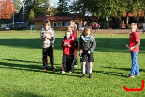 DFB Abzeichen 2010