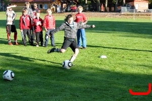 DFB Abzeichen 2010