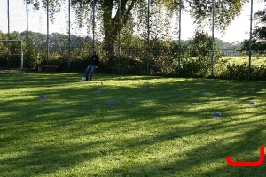 DFB Abzeichen 2010