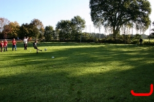 DFB Abzeichen 2010