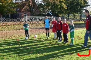 DFB Abzeichen 2010