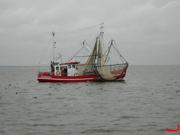 p1030726-99