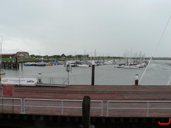 p1030431-7
