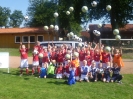 DFB Mbbil 2010