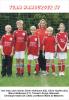 team_f-e-dm_hsv