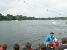 bild-242