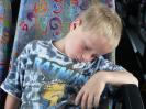 bild-319