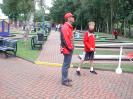 bild-311