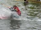 bild-206