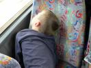 bild-318